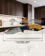 Premium Hand-Forged Damascus Steel Skinner Knife with Gut Hook | Custom Olive Wood & Micarta Handle Hunting Knife with Genuine Leather Sheath