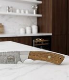 FAUMA Premium Hand-Forged Damascus Steel Tracker Hunting Knife | Custom Walnut Wood Handle Full Tang Blade with Genuine Leather Sheath