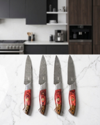 FAUMA Premium 4-Piece Damascus Steel Steak Knife Set | Hand-Forged Kitchen Utility Knives with Ergonomic Rosewood Handle & Genuine Leather Roll Bag